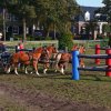 Boeren en Paarden dag 2017